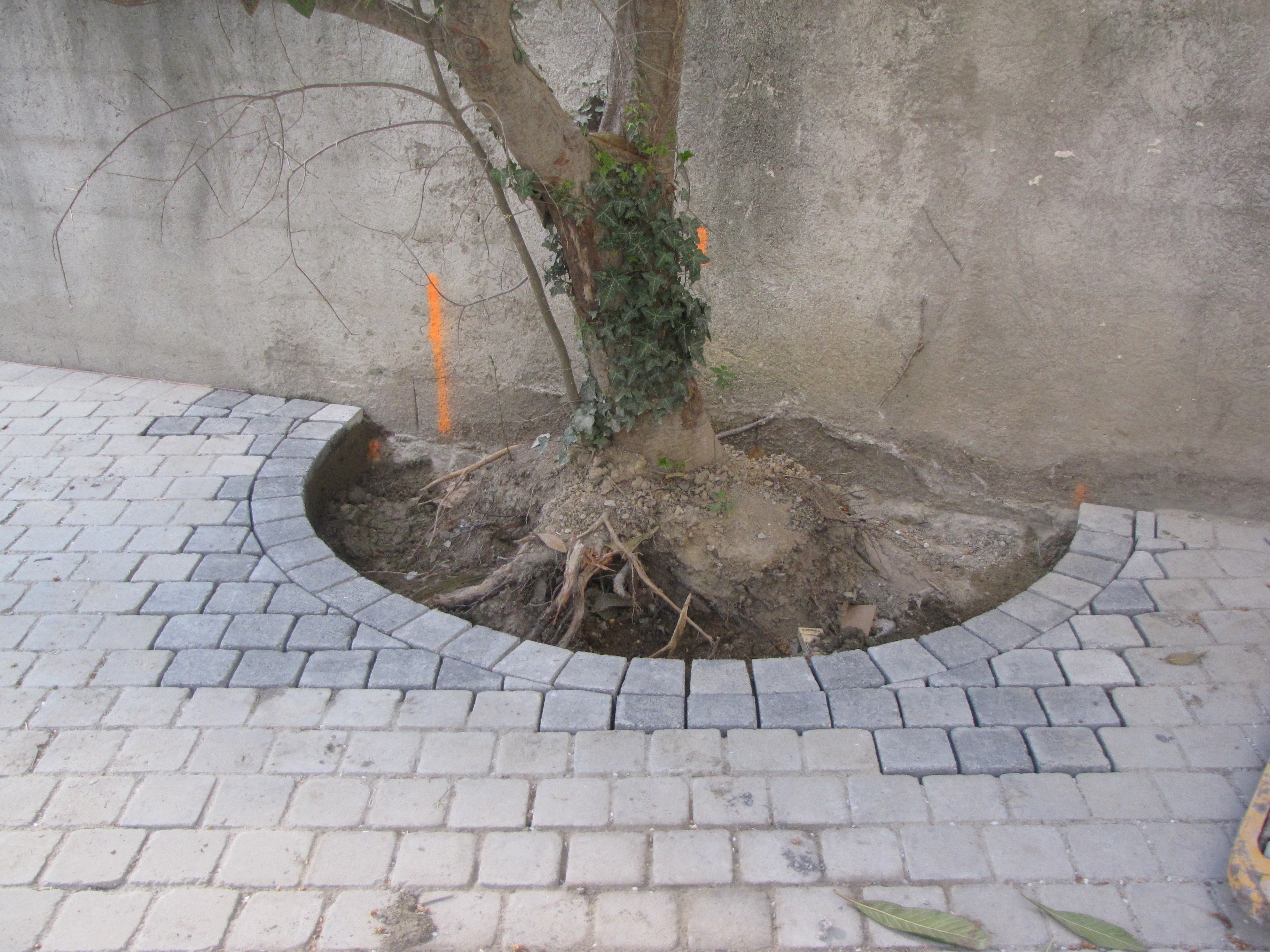 Depostes Rénovation Gard : pavage décoratif dans une cour autour d'un arbre